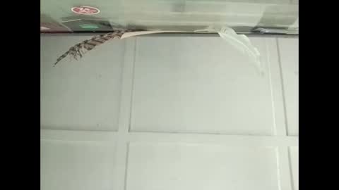 Warwick online show from October 27, 3:10 am