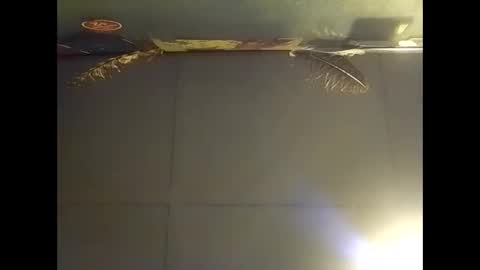 Warwick online show from November 2, 7:44 am