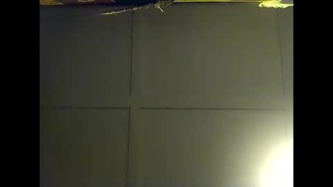 Warwick online show from November 6, 2:07 pm