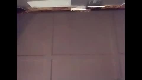 Warwick online show from November 9, 7:28 am