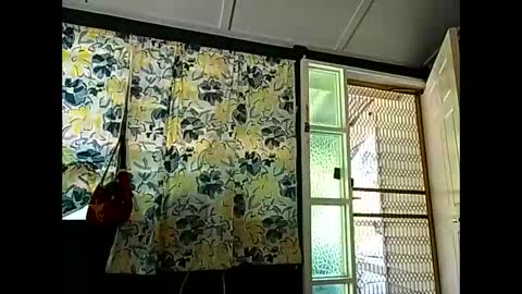 Warwick online show from April 13, 2:28 am