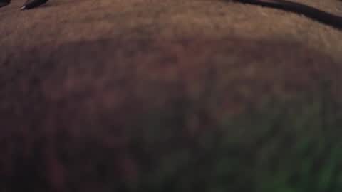 fumymo online show from January 7, 8:22 pm