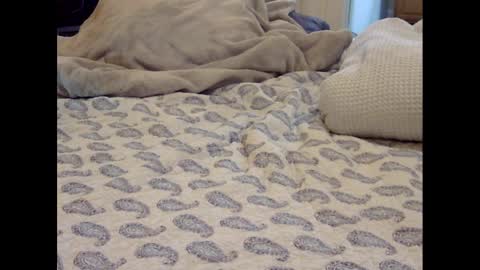 Funtimz16 online show from March 9, 8:07 am