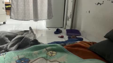 Snapshot of gab021593 chatting on December 22, 1:30 pm gab021593 online show from December 22, 1:30 pm