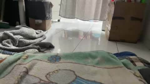 Snapshot of gab021593 chatting on January 16, 3:38 pm gab021593 online show from January 16, 3:38 pm