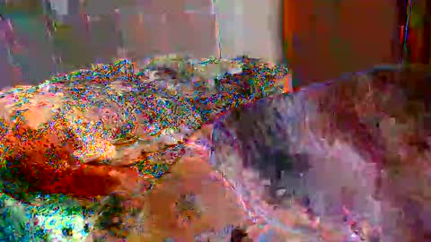 Snapshot of gabibrasil chatting on November 17, 10:04 pm gaby layla online show from November 17, 10:04 pm