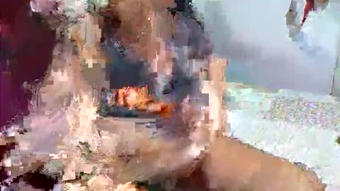 Snapshot of gabibrasil chatting on December 16, 8:03 pm gaby layla online show from December 16, 8:03 pm