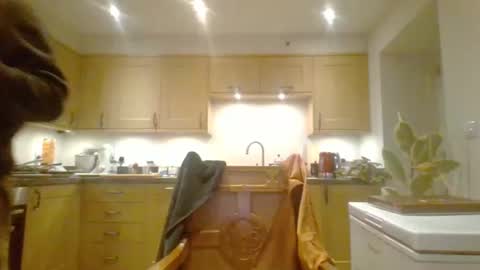 Snapshot of galacx chatting on December 31, 5:40 pm galacx online show from December 31, 5:40 pm