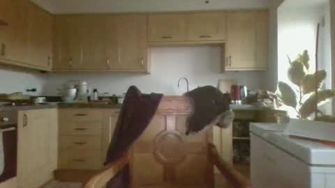 Snapshot of galacx chatting on February 21, 4:48 pm galacx online show from February 21, 4:48 pm