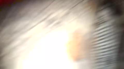 Snapshot of gallistuthomas440 chatting on October 26, 7:31 pm gallistuthomas440 online show from October 26, 7:31 pm