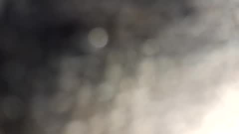 Snapshot of gallistuthomas440 chatting on October 29, 7:26 pm gallistuthomas440 online show from October 29, 7:26 pm