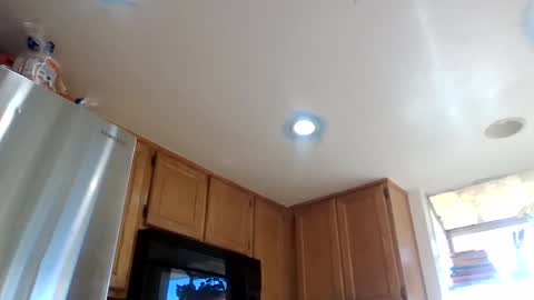 gangdrewski online show from March 8, 3:27 pm