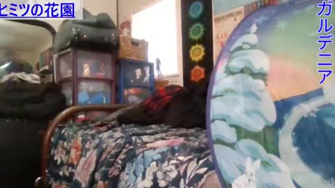 Gardenia online show from January 8, 6:31 pm