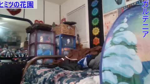 Gardenia online show from January 29, 8:51 am