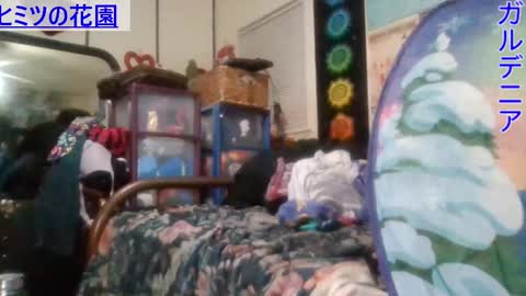 Gardenia online show from January 31, 6:35 am