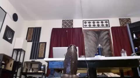 gatewaylaptop2019 online show from April 19, 6:10 pm