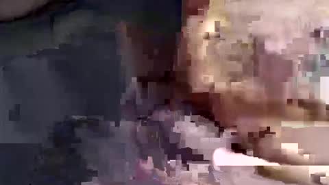 gatinhow82 online show from March 26, 2:50 am