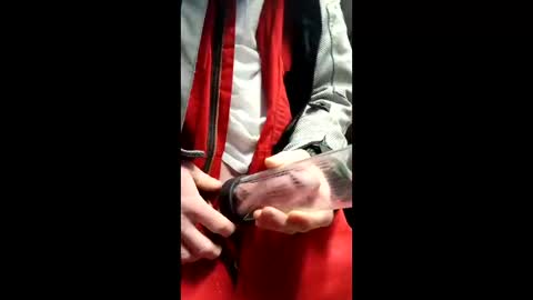 gator19037526775 online show from March 13, 2:23 pm