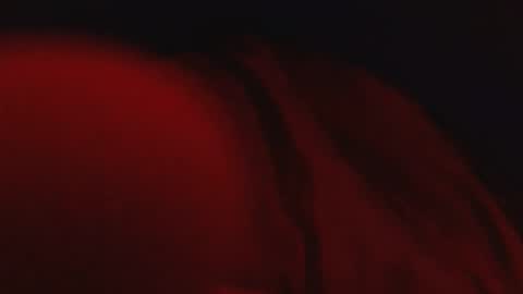 Snapshot of genitalwars chatting on March 4, 2:17 am genitalwars online show from March 4, 2:17 am