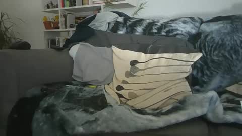 Geon online show from December 19, 11:28 am