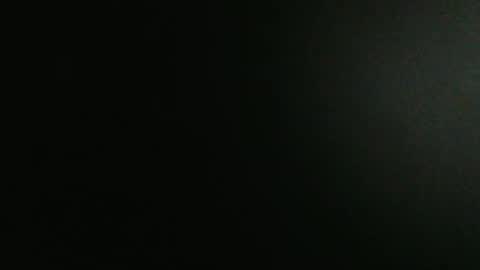 Snapshot of gericke218 chatting on March 25, 12:16 am Ball-torture online show from March 25, 12:16 am