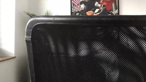 Snapshot of german3003 chatting on October 28, 9:46 am german3003 online show from October 28, 9:46 am