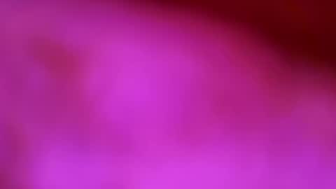 germanandy71 online show from December 1, 8:52 am