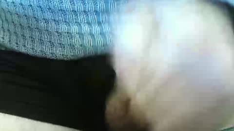 germandaddydick1 online show from June 4, 3:29 pm