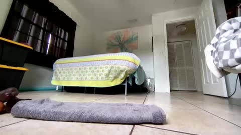 Getngetout88 online show from March 19, 6:23 pm