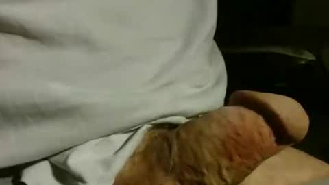 Snapshot of gettingstiff chatting on December 1, 1:38 pm gettingstiff online show from December 1, 1:38 pm