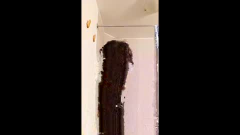 ggggu495826 online show from February 10, 2:32 pm