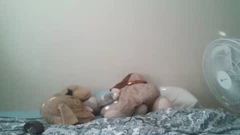 ghansberger2 online show from March 11, 11:44 pm