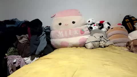 Snapshot of ghastgirlt_t chatting on March 28, 3:39 am ghastgirlt_t online show from March 28, 3:39 am