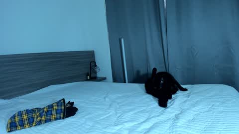 Snapshot of giannasue chatting on January 11, 6:01 pm giannasue online show from January 11, 6:01 pm