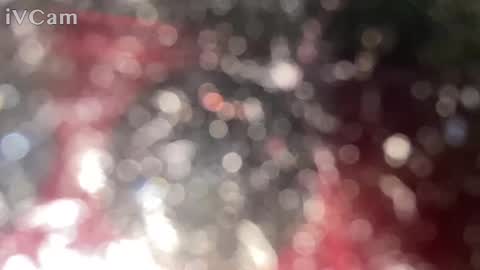 Snapshot of ginganinga13 chatting on January 12, 10:33 pm GingerNinja online show from January 12, 10:33 pm