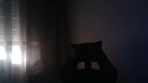 gioshadow online show from May 26, 3:52 pm