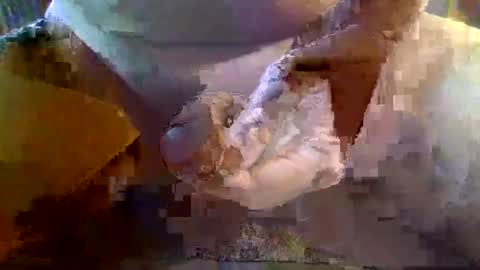 girafsnoop online show from January 19, 9:22 am