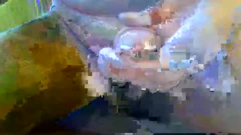 girafsnoop online show from September 28, 8:09 am