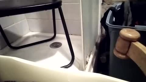 Snapshot of girlscallme666 chatting on December 1, 7:30 pm lovegirlscallme online show from December 1, 7:30 pm