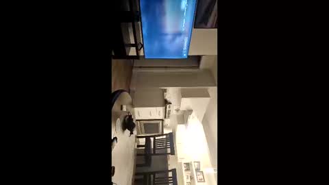 Snapshot of girthylax51 chatting on November 9, 3:49 am BIG K online show from November 9, 3:49 am