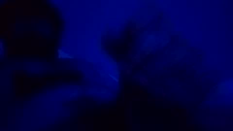 elen06 online show from December 15, 9:08 pm