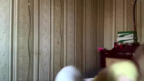 Snapshot of gladisstipes chatting on March 22, 9:02 am Hello My name is Ashley online show from March 22, 9:02 am