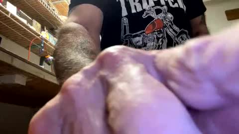 gngnxxx online show from October 23, 4:45 am