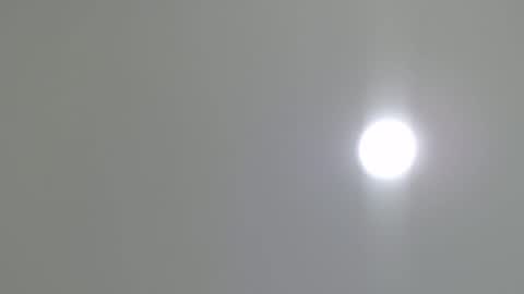 goath_08 online show from February 7, 10:41 pm