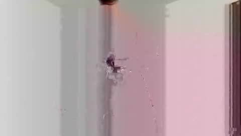 Snapshot of goblue4133 chatting on December 25, 5:37 am goblue4133 online show from December 25, 5:37 am