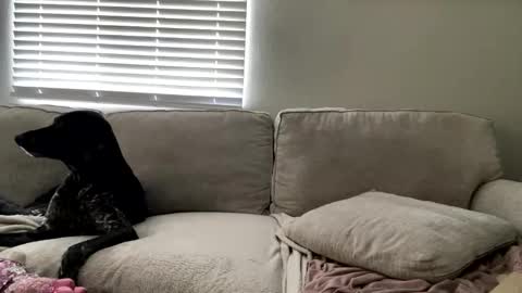 GoddessMayvn online show from May 4, 3:41 pm