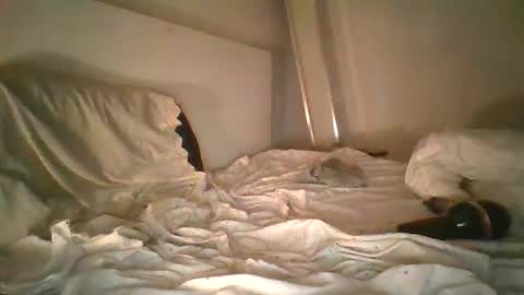 godonsin online show from December 17, 7:50 am