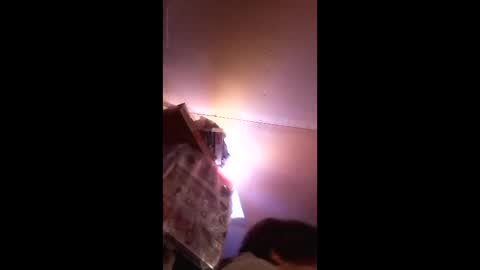 gofredgo19 online show from April 4, 8:12 am