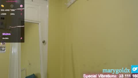 Snapshot of gold_mary_ chatting on January 25, 11:34 am Mary online show from January 25, 11:34 am