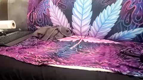 Snapshot of goldcmen chatting on January 17, 4:06 am Goldcmen online show from January 17, 4:06 am